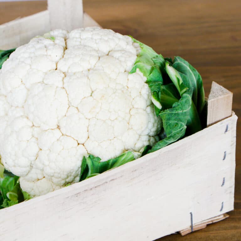 Chou-fleur de Saint-Omer