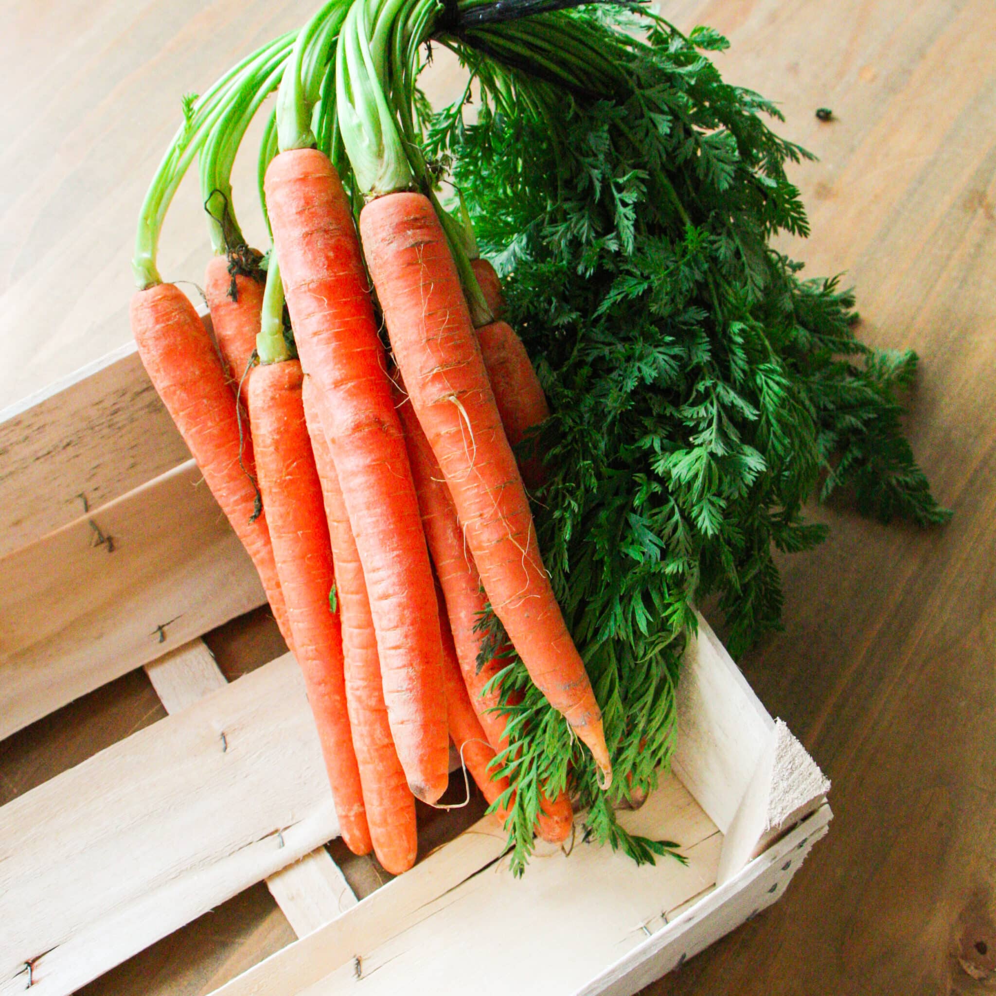 La carotte de Tilques