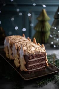 recette de bûche au chocolat et praliné