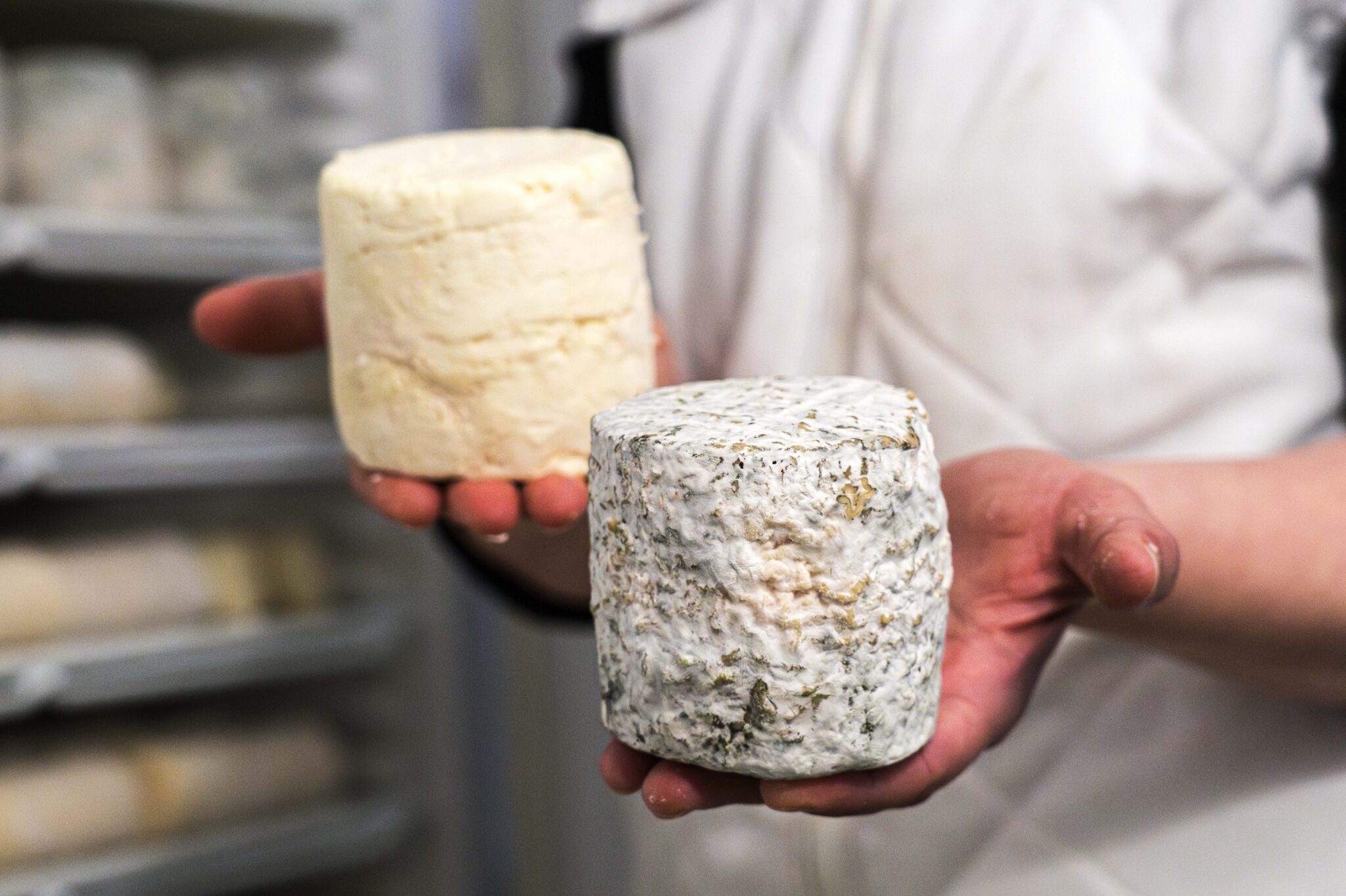 Barbiquette_WEB72DPI__36