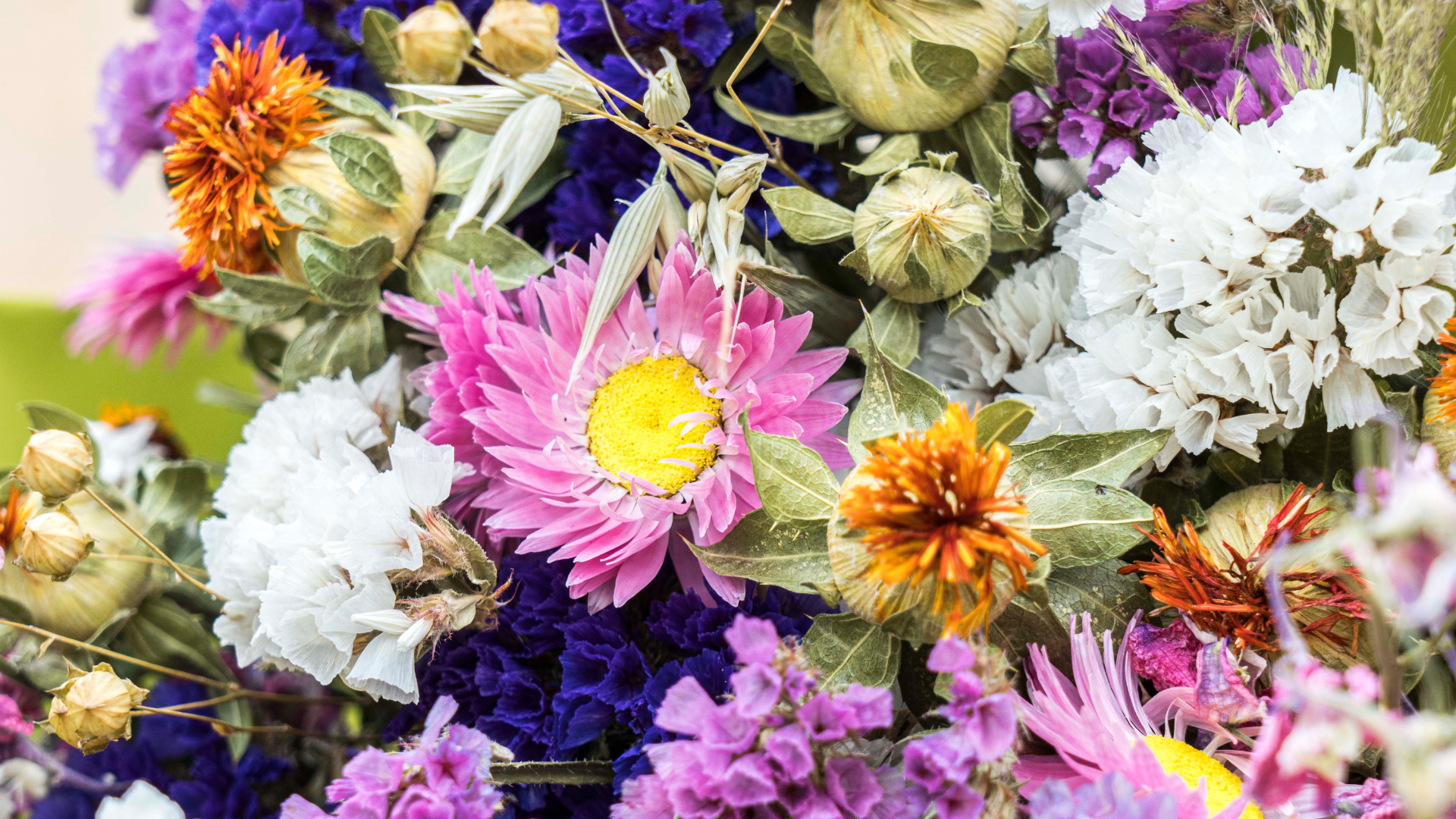 folies-buissonnieres3