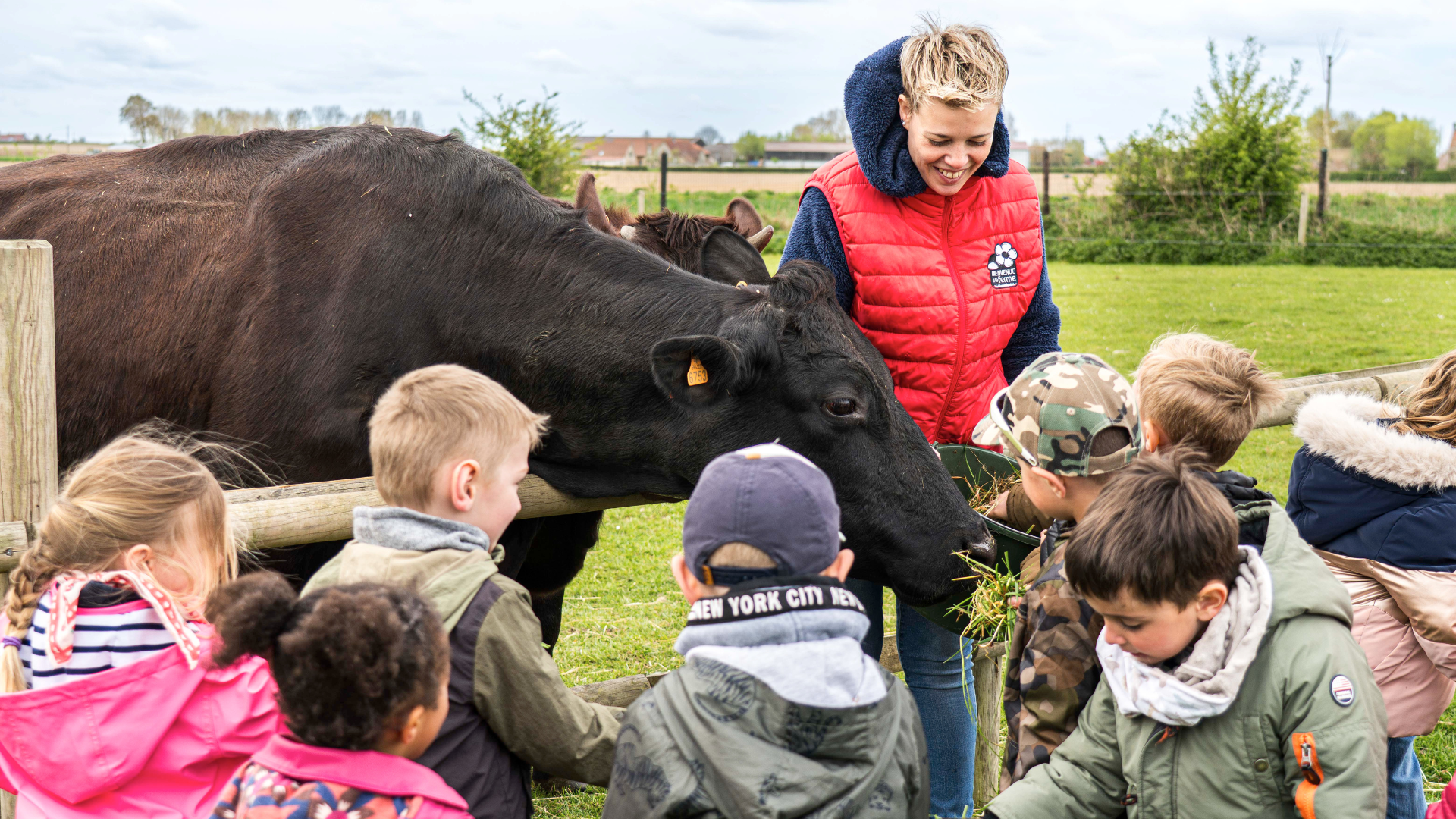 petite-ferme-flamande2