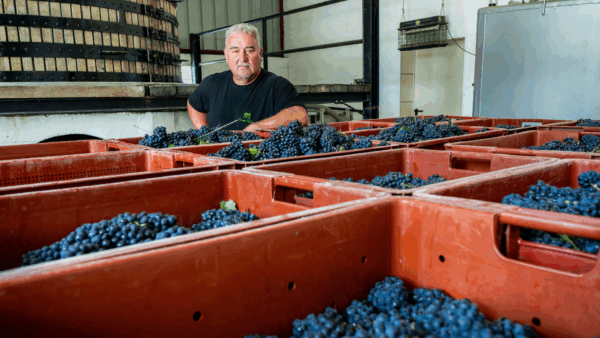 champagne-Christophe-Lefevre4-600×338