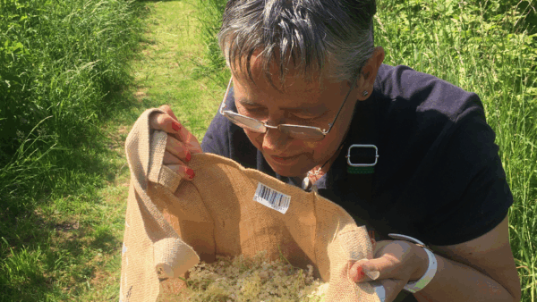 lasorcieredelavalle2-600×338